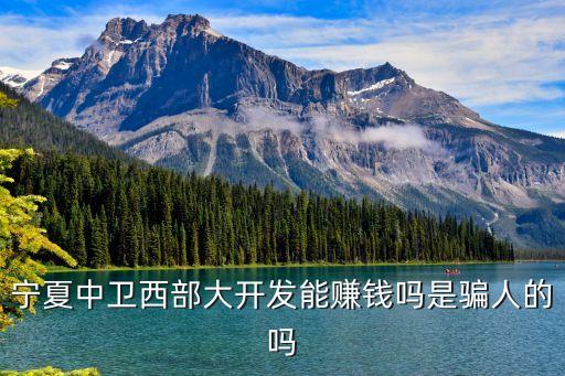 寧夏中衛(wèi)西部大開發(fā)能賺錢嗎是騙人的嗎