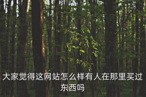 大家覺得這網(wǎng)站怎么樣有人在那里買過東西嗎