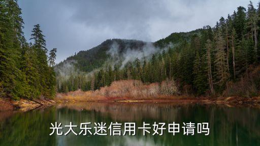 樂迷卡怎么網(wǎng)申，光大樂迷信用卡好申請(qǐng)嗎