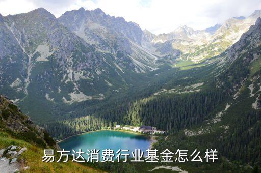 易方達消費行業(yè)基金怎么樣，易方達消費行業(yè)基金怎么樣