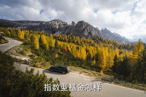 指數(shù)型基金怎樣