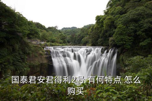 國(guó)泰君安君得利2號(hào) 有何特點(diǎn) 怎么購(gòu)買