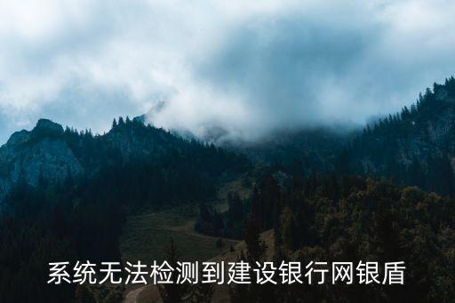 系統無法檢測到建設銀行網銀盾