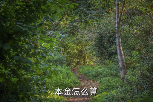 怎么算出本金，求本金的公式