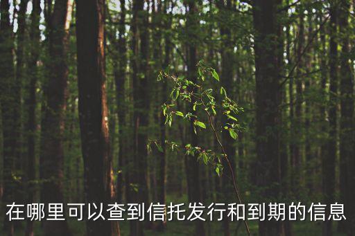 信托產品怎么查詢，哪里查信托產品公告