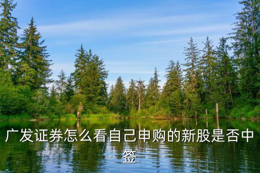 廣發(fā)證券怎么看自己申購的新股是否中簽