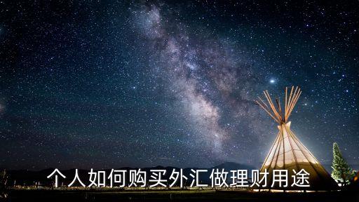 個(gè)人如何購(gòu)買(mǎi)外匯做理財(cái)用途
