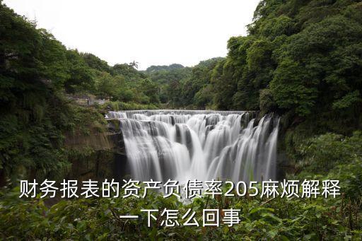 財(cái)務(wù)報(bào)表的資產(chǎn)負(fù)債率205麻煩解釋一下怎么回事