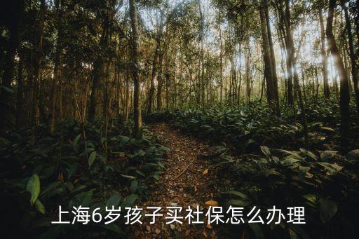 上海6歲孩子買(mǎi)社保怎么辦理