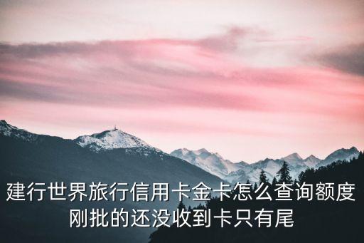 怎么查環(huán)球旅行卡額度，建行世界旅行信用卡金卡怎么查詢額度剛批的還沒收到卡只有尾