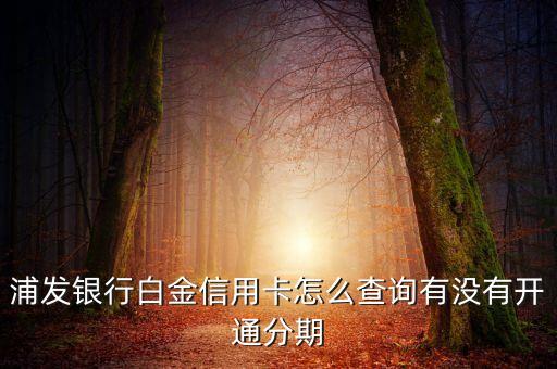 浦發(fā)銀行白金信用卡怎么查詢有沒有開通分期