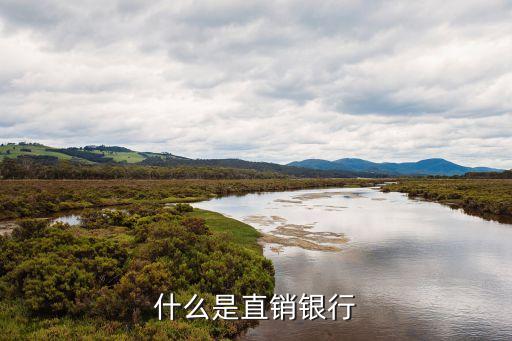 直銷銀行怎么應(yīng)對(duì)客戶搶奪，郵儲(chǔ)銀行如何應(yīng)對(duì)直銷銀行挑戰(zhàn)