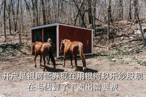 開戶是銀河證券現(xiàn)在用銀河玖樂炒股現(xiàn)在毛估算了下賣出需要費