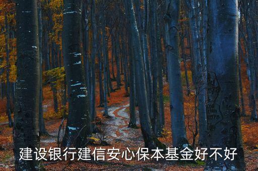建信安心保本混合基金怎么樣，保本混合基金好嗎