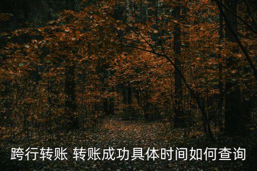 跨行轉(zhuǎn)賬 轉(zhuǎn)賬成功具體時間如何查詢