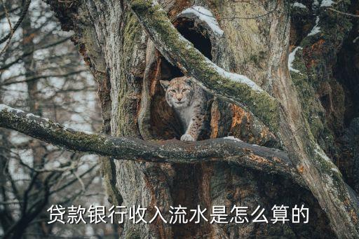 要貸款銀行流水怎么計算，貸款銀行收入流水是怎么算的