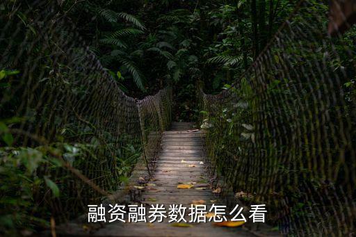 融資融券數(shù)據(jù)怎么看