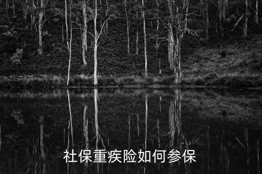 社保重疾險(xiǎn)怎么買，社保性質(zhì)的重疾險(xiǎn)應(yīng)該怎么辦理
