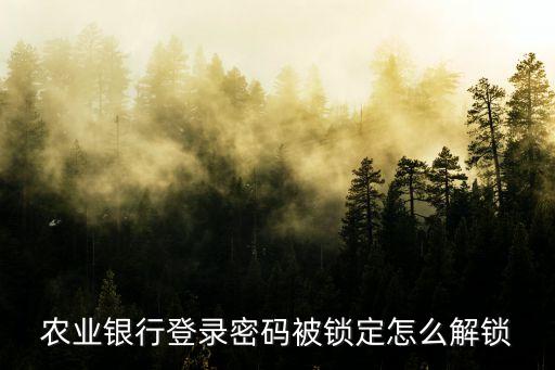 農(nóng)業(yè)銀行登錄密碼被鎖定怎么解鎖