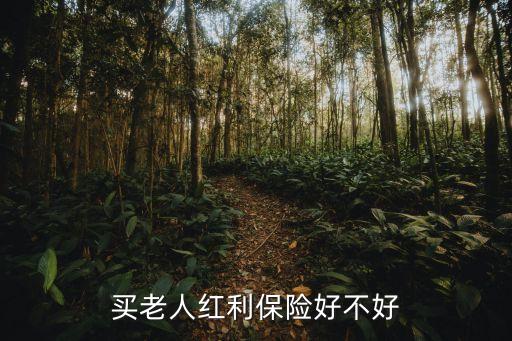 買老人紅利保險(xiǎn)好不好