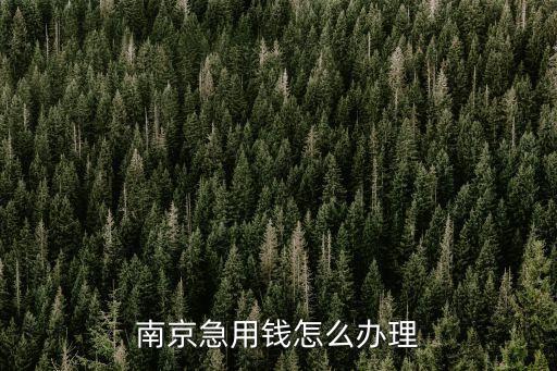 南京急用錢(qián)平臺(tái)怎么加，南京急用錢(qián)怎么辦理