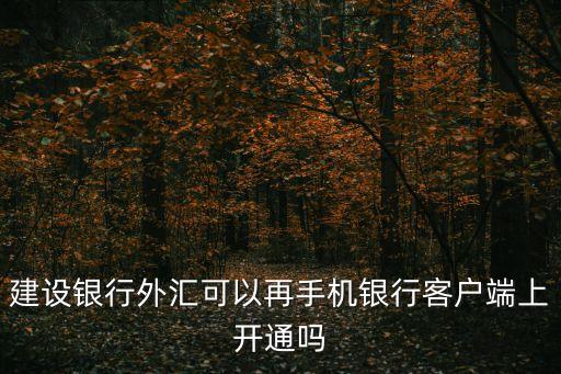 建設(shè)銀行外匯可以再手機銀行客戶端上開通嗎