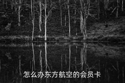 ana會員卡怎么申請，怎么辦東方航空的會員卡