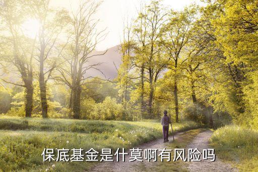保本基金怎么樣，長城九鼎保本基金怎么樣
