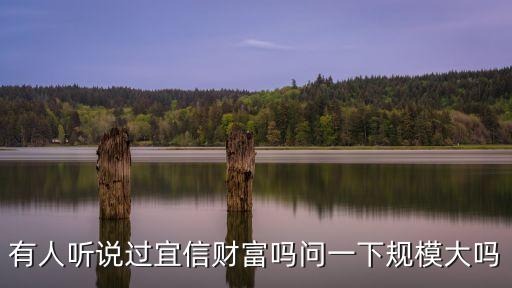 有人聽說過宜信財(cái)富嗎問一下規(guī)模大嗎