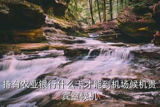 持有農(nóng)業(yè)銀行什么卡才能到機場候機貴賓室候機