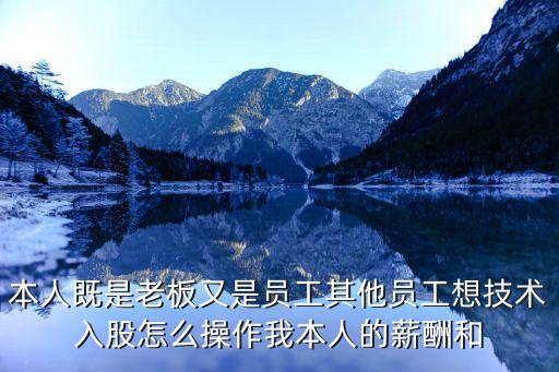 本人既是老板又是員工其他員工想技術(shù)入股怎么操作我本人的薪酬和