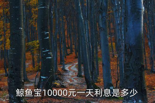 鯨魚寶怎么算利息，鯨魚寶10000元一天利息是多少