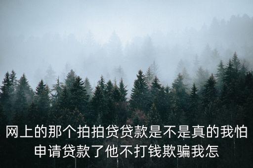 網(wǎng)上的那個(gè)拍拍貸貸款是不是真的我怕申請(qǐng)貸款了他不打錢(qián)欺騙我怎