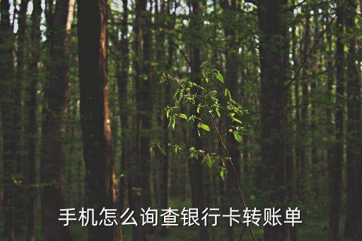 手機怎么詢查銀行卡轉賬單
