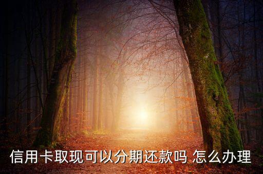 信用卡刷分期怎么辦理分期還款嗎，信用卡分期付款怎么辦理