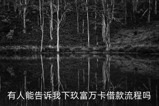 有人能告訴我下玖富萬卡借款流程嗎