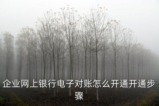 企業(yè)網上銀行電子對賬怎么開通開通步驟