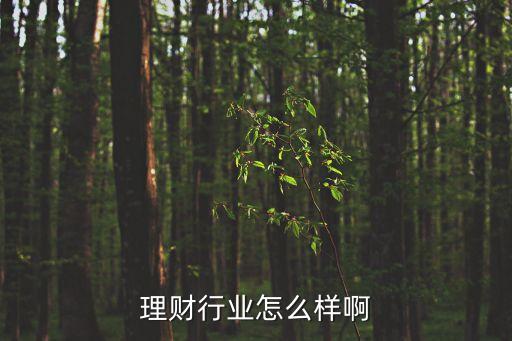 理財行業(yè)怎么樣啊