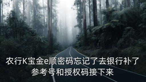農(nóng)行K寶金e順密碼忘記了去銀行補(bǔ)了參考號和授權(quán)碼接下來
