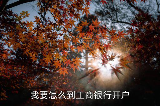 我要怎么到工商銀行開戶