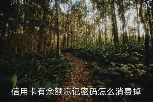信用卡不知道密碼怎么使用，信用卡沒密碼怎么用