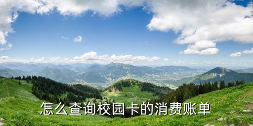 怎么查詢校園卡的消費賬單