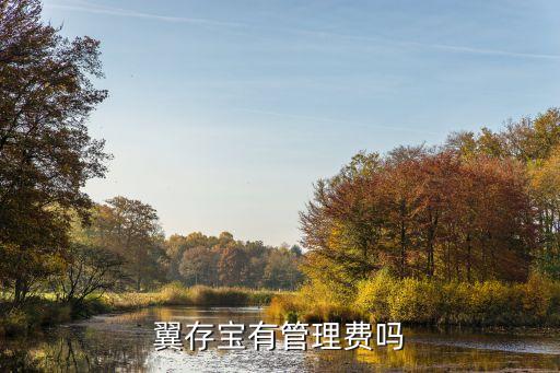 翼存寶有管理費(fèi)嗎