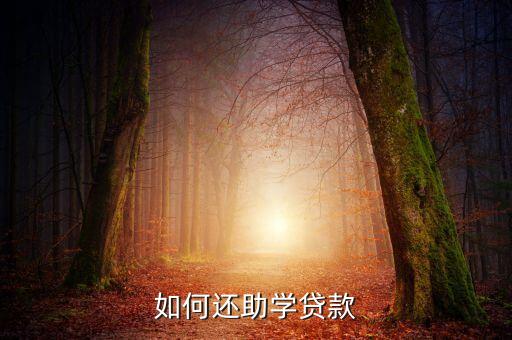助學(xué)金貸款怎么還，如何還助學(xué)貸款
