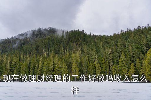 現(xiàn)在做理財(cái)經(jīng)理的工作好做嗎收入怎么樣