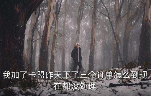 卡盟的單子末處理怎么辦，卡盟怎么投訴和訂單24小時之內(nèi)沒處理怎么辦