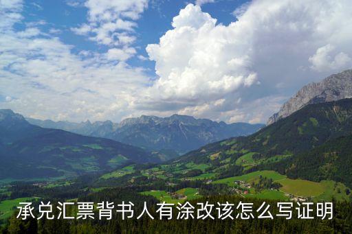承兌匯票背書人有涂改該怎么寫證明