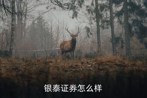銀泰證券怎么樣