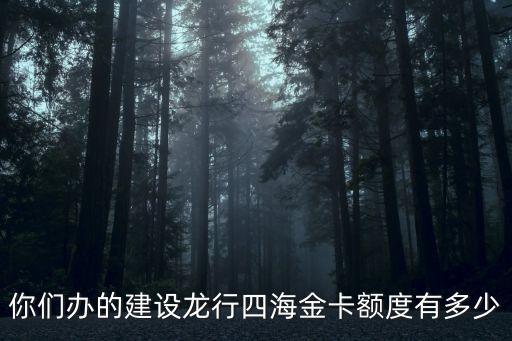 你們辦的建設(shè)龍行四海金卡額度有多少