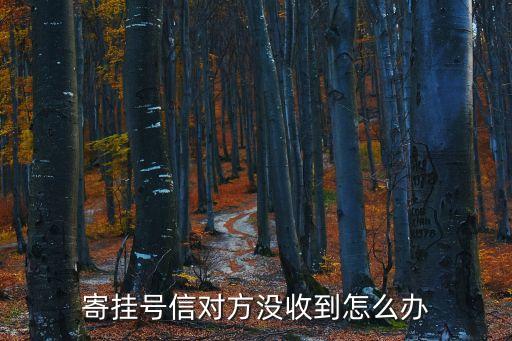 寄掛號信對方?jīng)]收到怎么辦